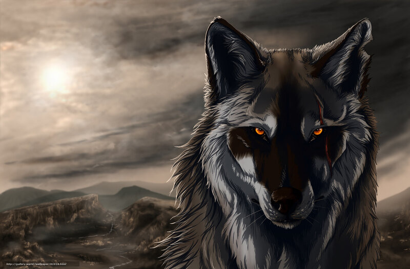 Wolf with Glowing Eyes — Gray, Dramatic