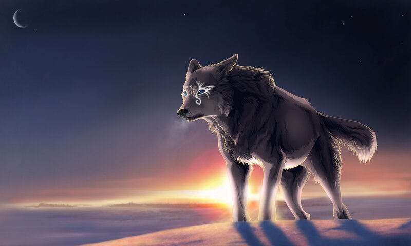 Wolf with Glowing Eyes — Purple, Dramatic, Sunset