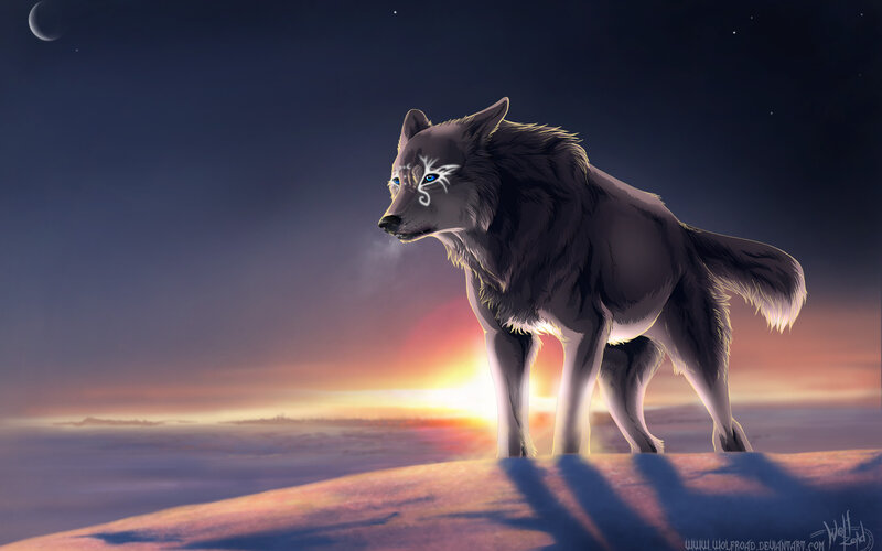 Wolf with Glowing Eyes — Purple, Dramatic