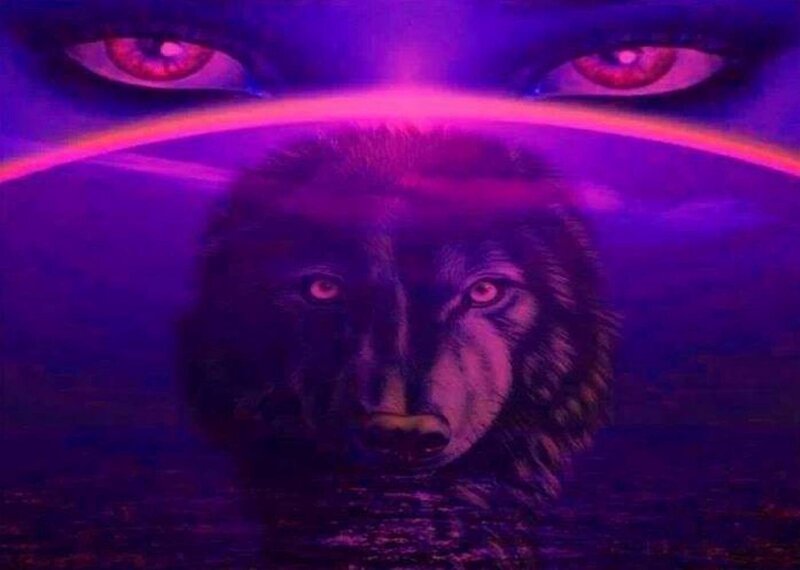 Wolf with Glowing Eyes — Purple, Mystical