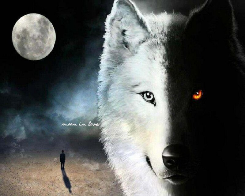 Wolf with Glowing Eyes — White, Dramatic