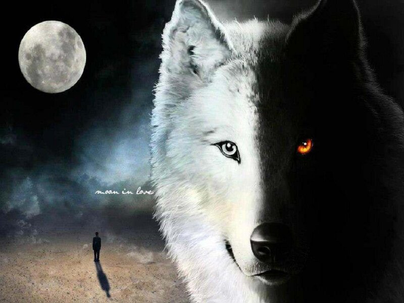 Wolf with Glowing Eyes — White