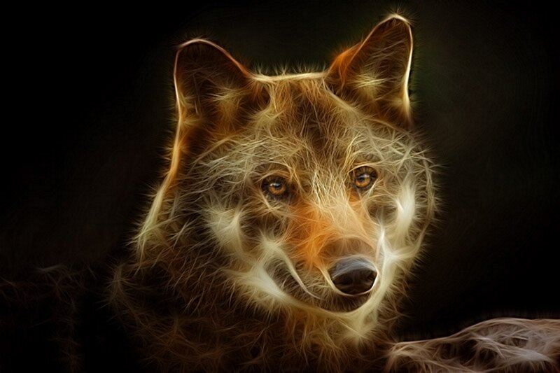 Wolf with Glowing Fur — Brown