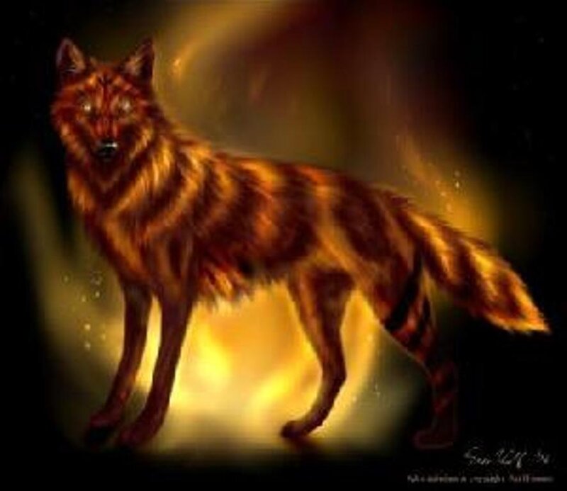 Wolf with Glowing Fur — Orange