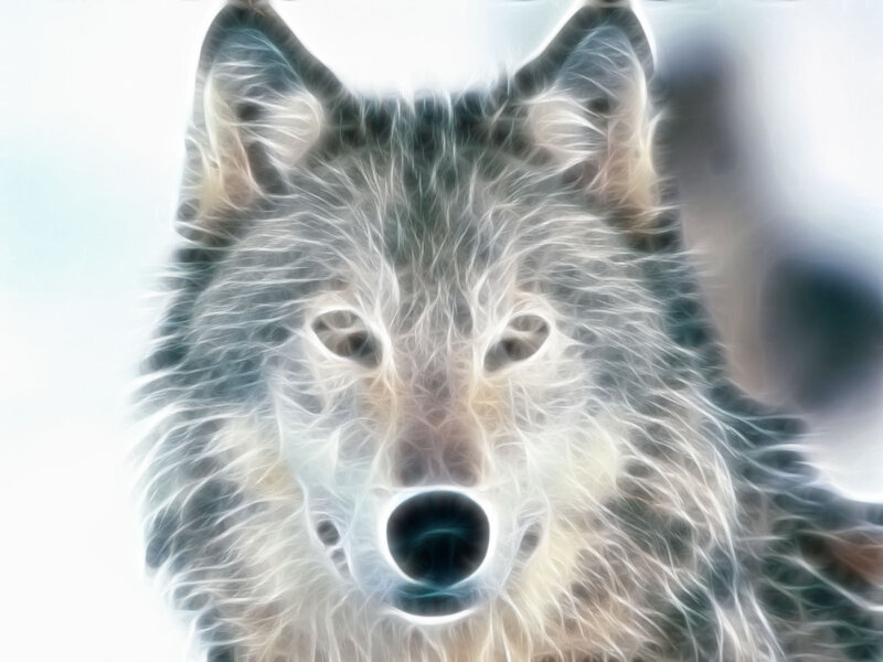 Wolf with Glowing Fur — White