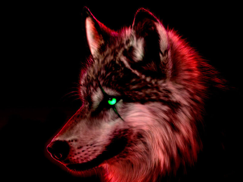 wolf with glowing green eyes