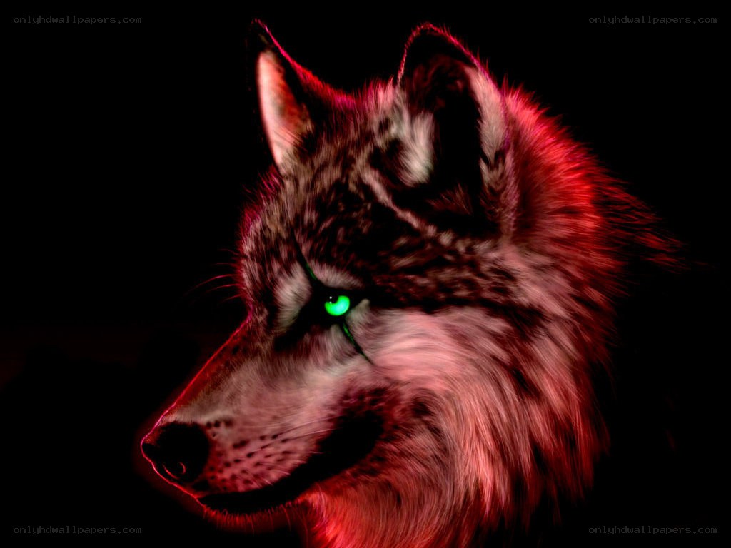 wolf with glowing green eyes