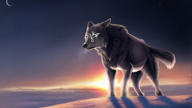wolf with glowing markings