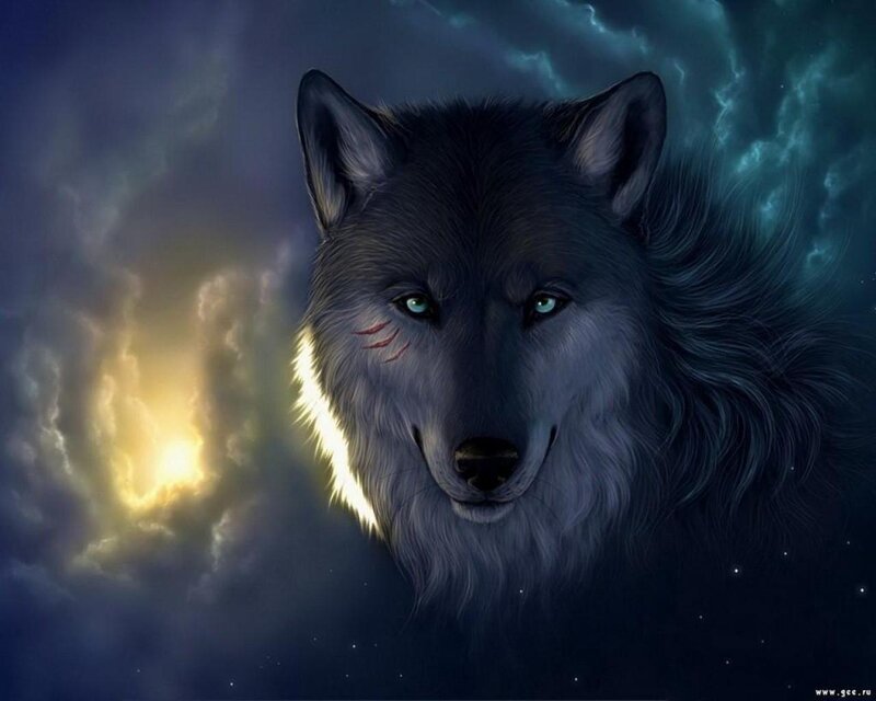 Wolf with Green Eyes — Blue, Dramatic, Night, Digital Art, Clouds, Stars, Light