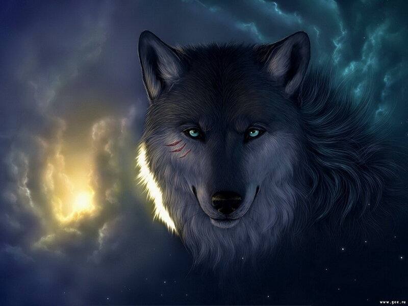 Wolf with Green Eyes — Blue, Dramatic, Night, Digital Art
