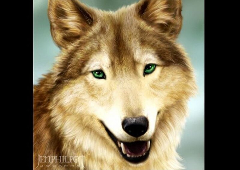 Wolf with Green Eyes — Brown