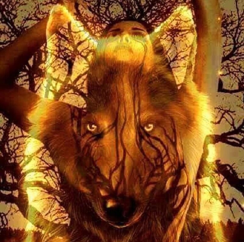 Wolf with Human Face