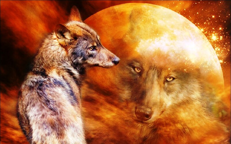 Wolf with Moon Reflection — Orange