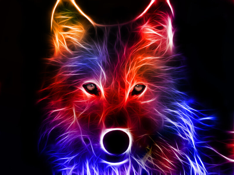Wolf with Neon Colors