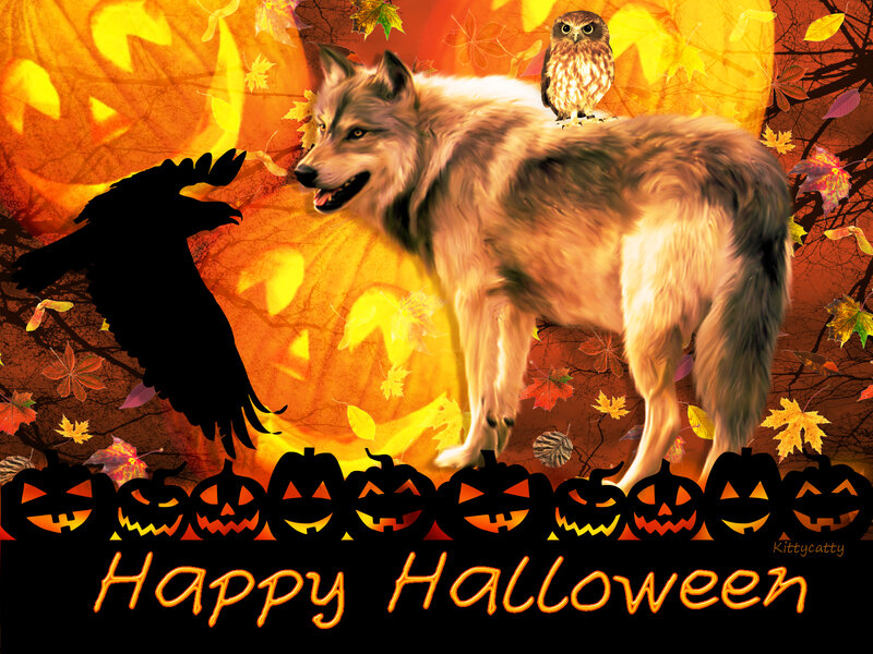 Wolf with Owl on Back — Orange