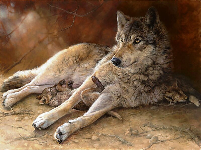 Wolf with Pups — Brown, Calm