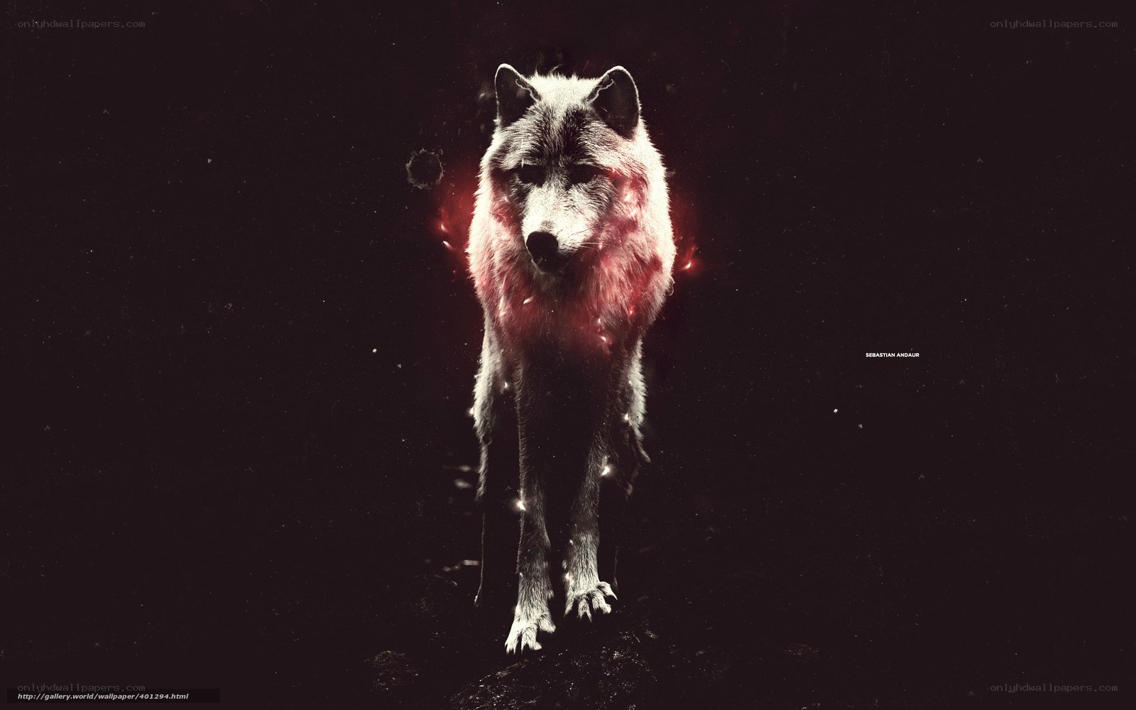 wolf with red aura