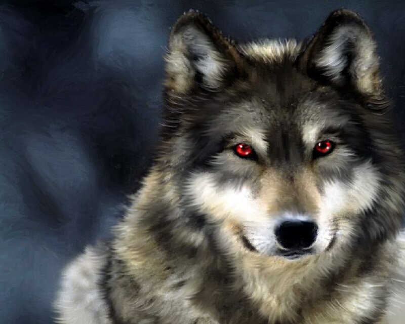 wolf with red eyes