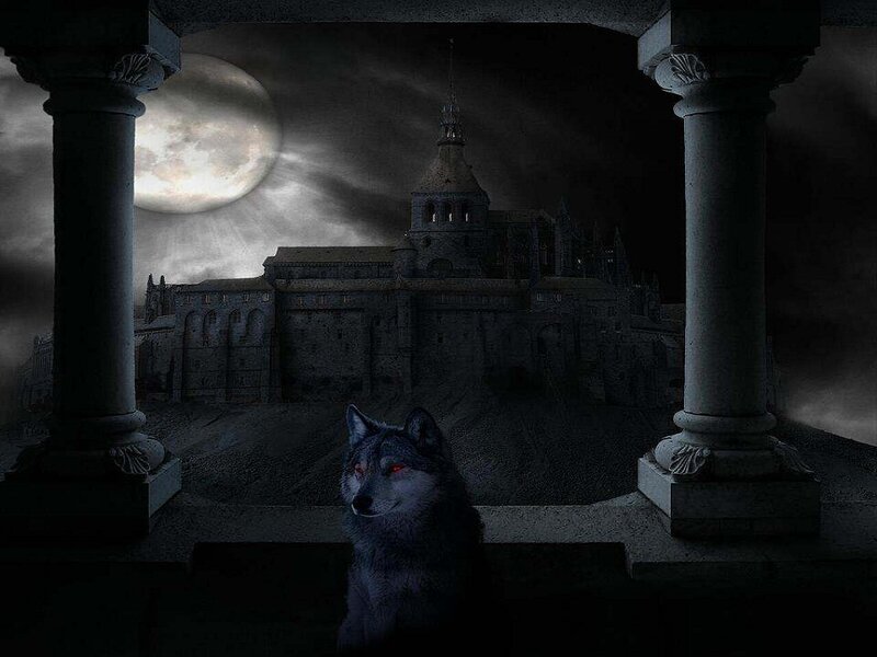 Wolf with Red Eyes — Black, Dark