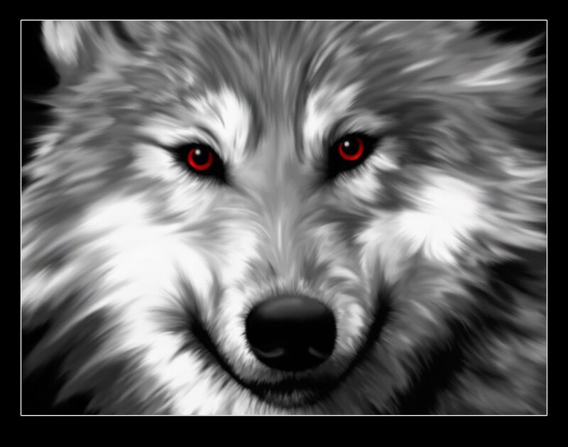 Wolf with Red Eyes — Black