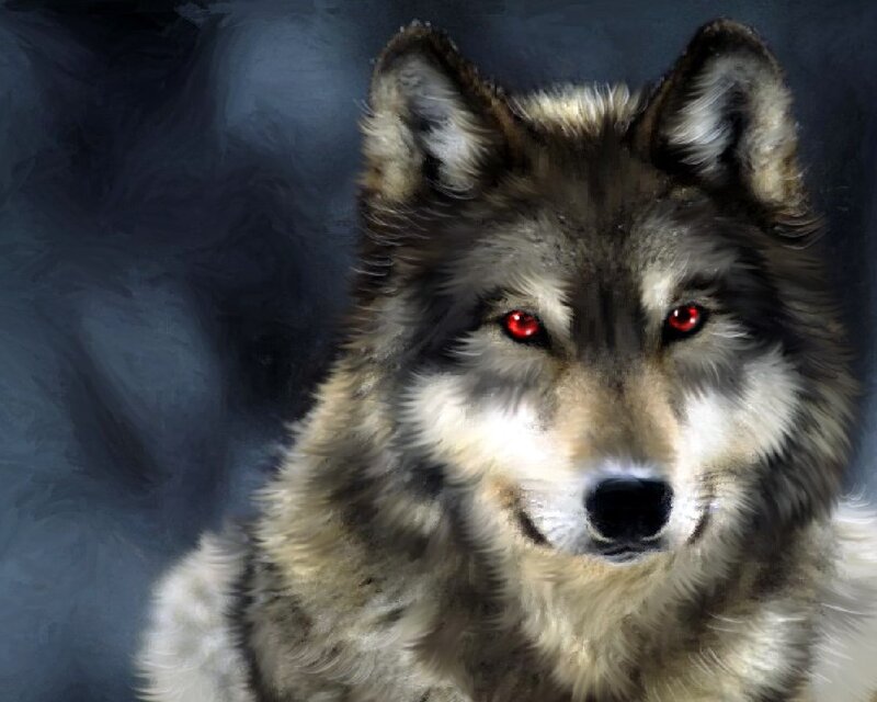 Wolf with Red Eyes — Gray