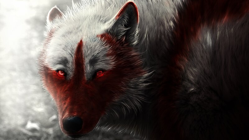 Wolf with Red Eyes — White