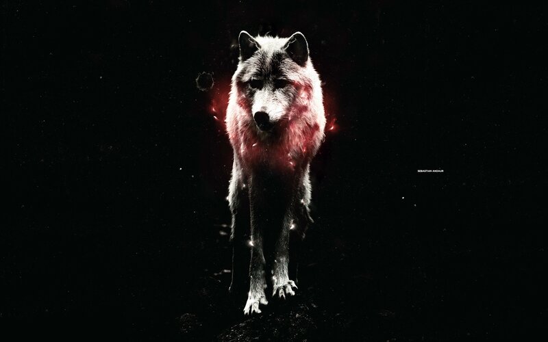 Wolf with Red Glow