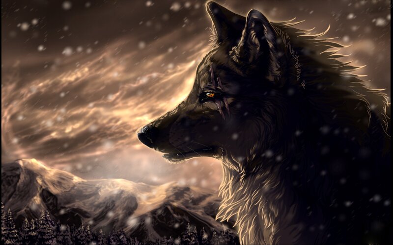 Wolf with Scar — Black