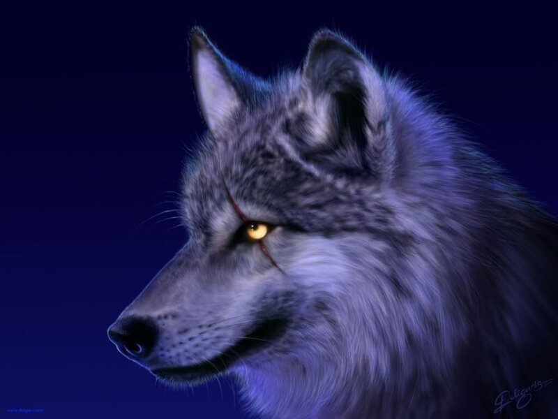 Wolf with Scar — Blue