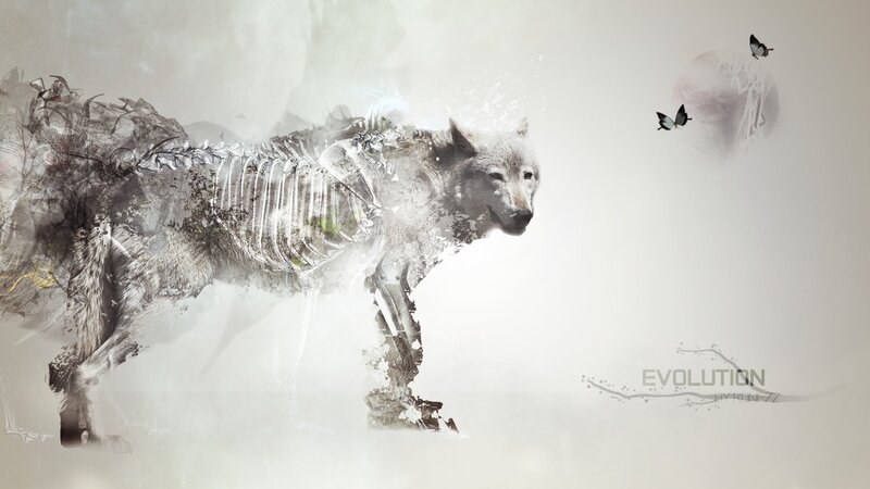 Wolf with Skeleton — White