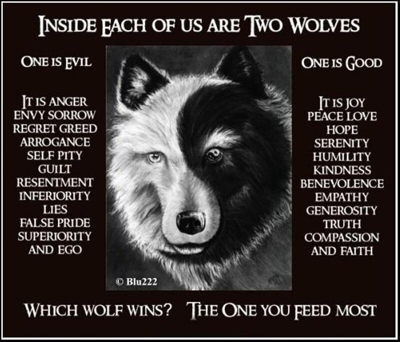 Wolf with Split Face