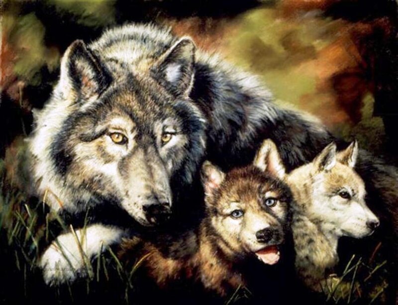Wolf with Two Pups