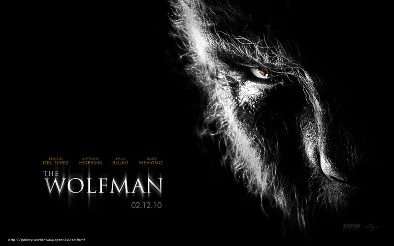Wolfman Face in Shadow