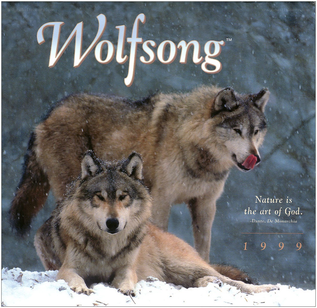 Wolfsong 1999 calendar cover