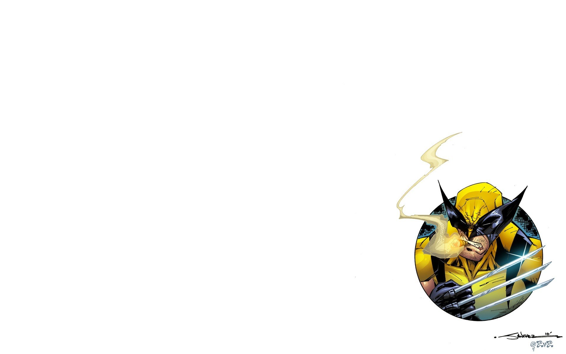 Wolverine action illustration