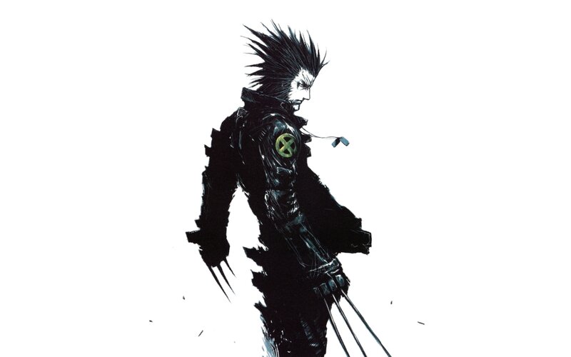 Wolverine Character — Black, Dramatic, Manga, Spiky Hair