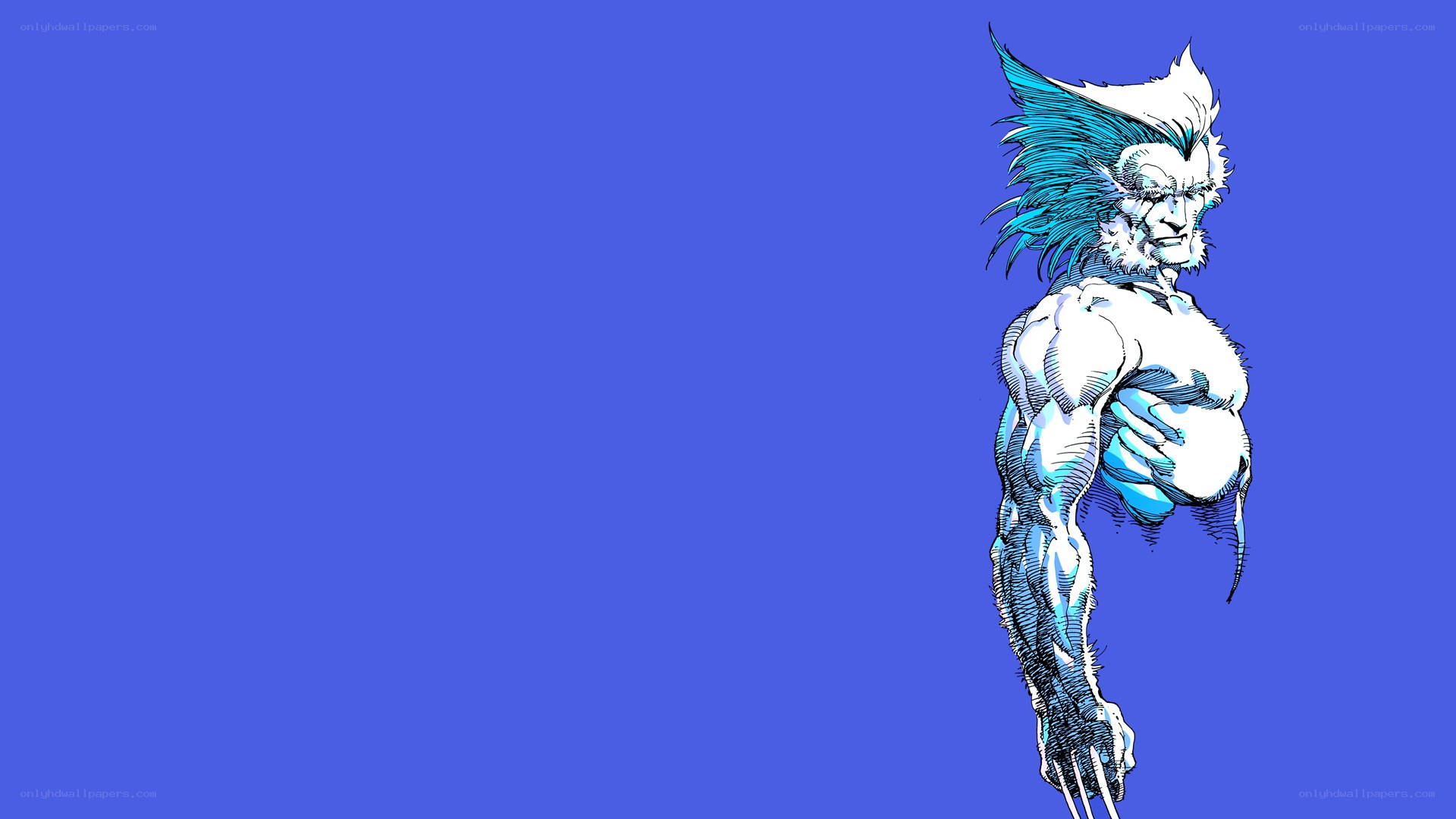 Wolverine character illustration