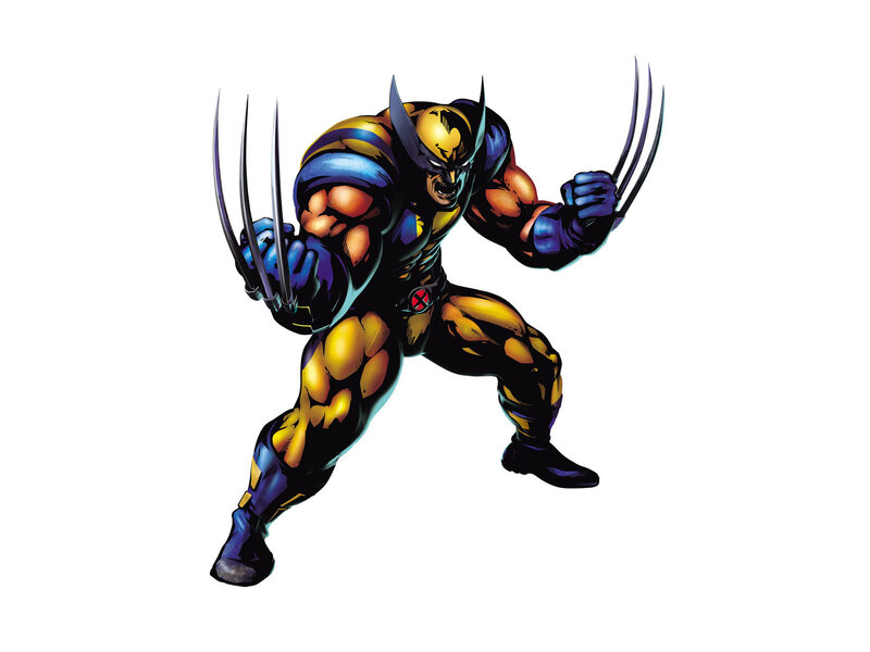 Wolverine Character