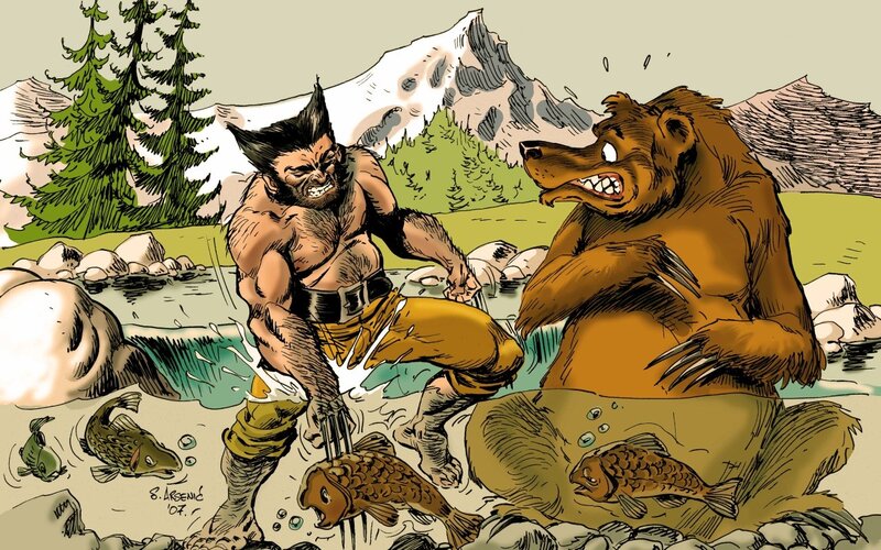 Wolverine fights a bear