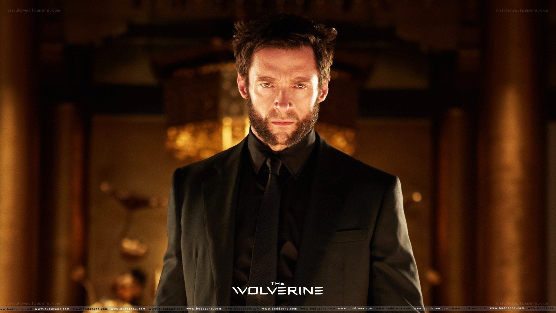 Wolverine in a black suit
