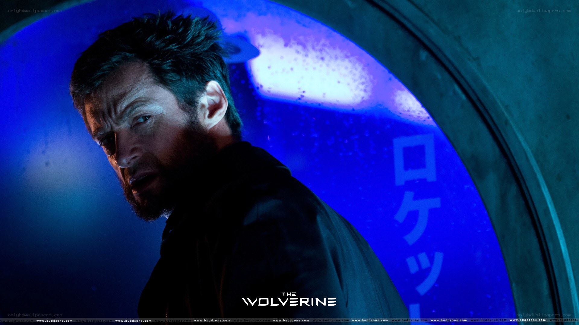 Wolverine in a blue-lit scene