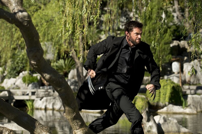 Wolverine in a garden