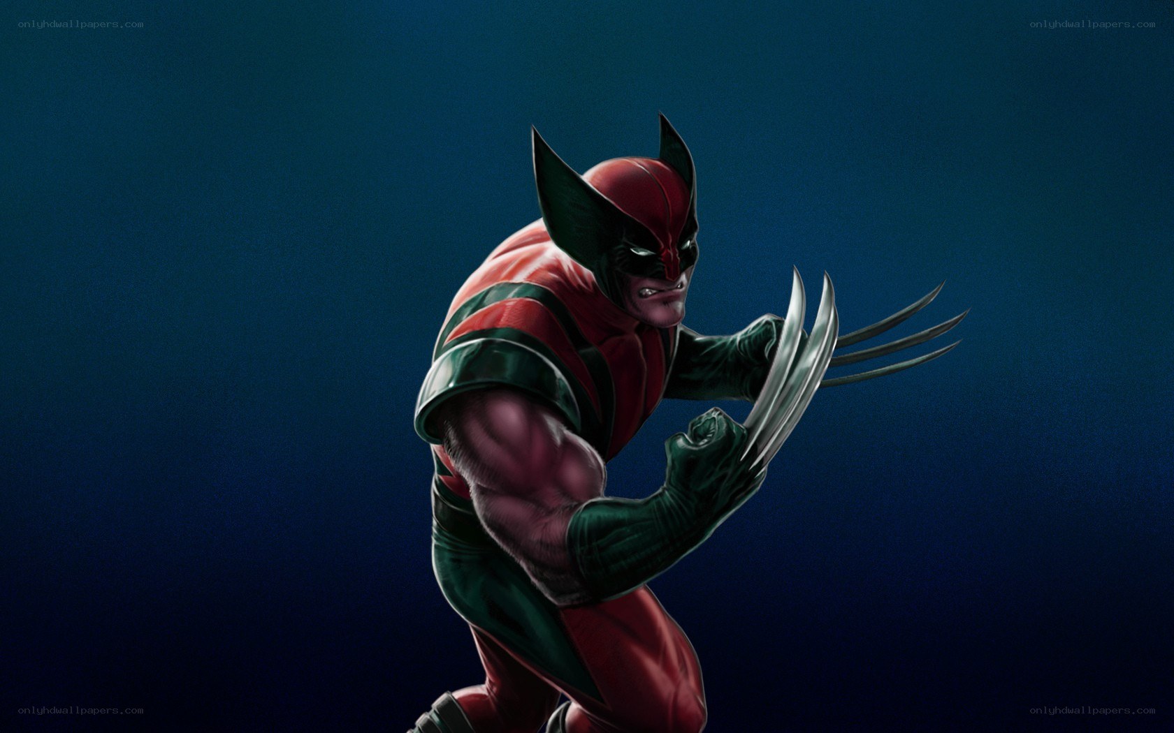 Wolverine in combat stance