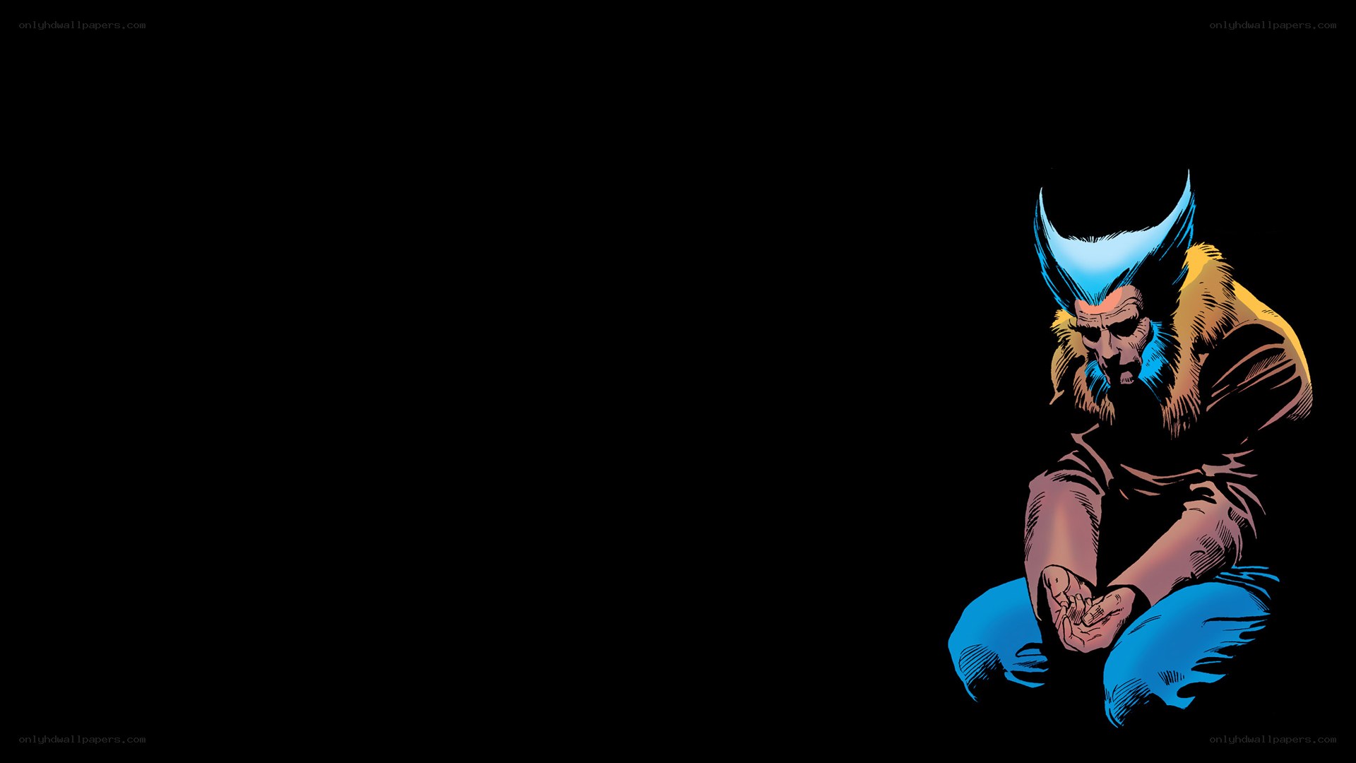 Wolverine in contemplation
