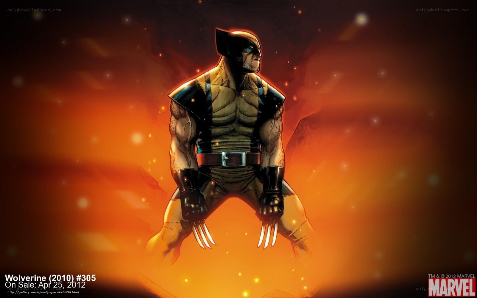 Wolverine in fiery background