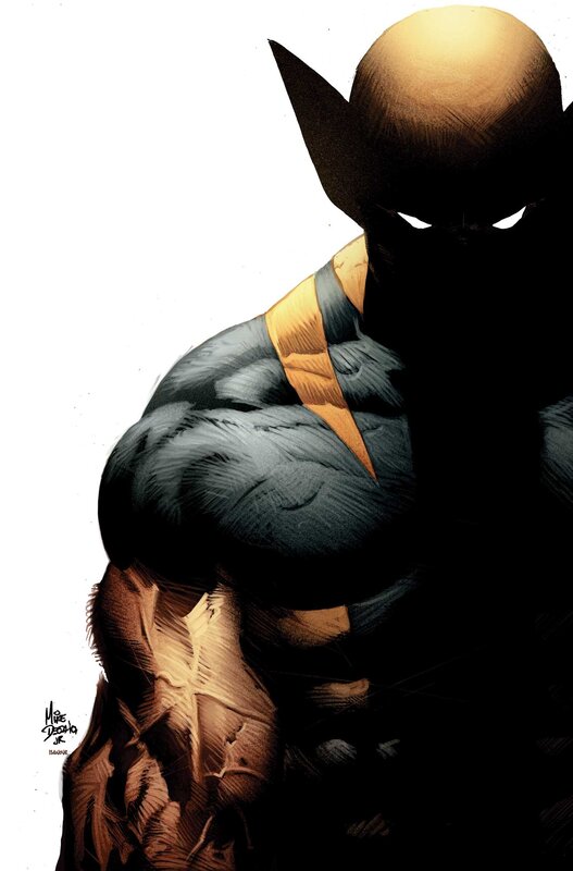 Wolverine in shadow