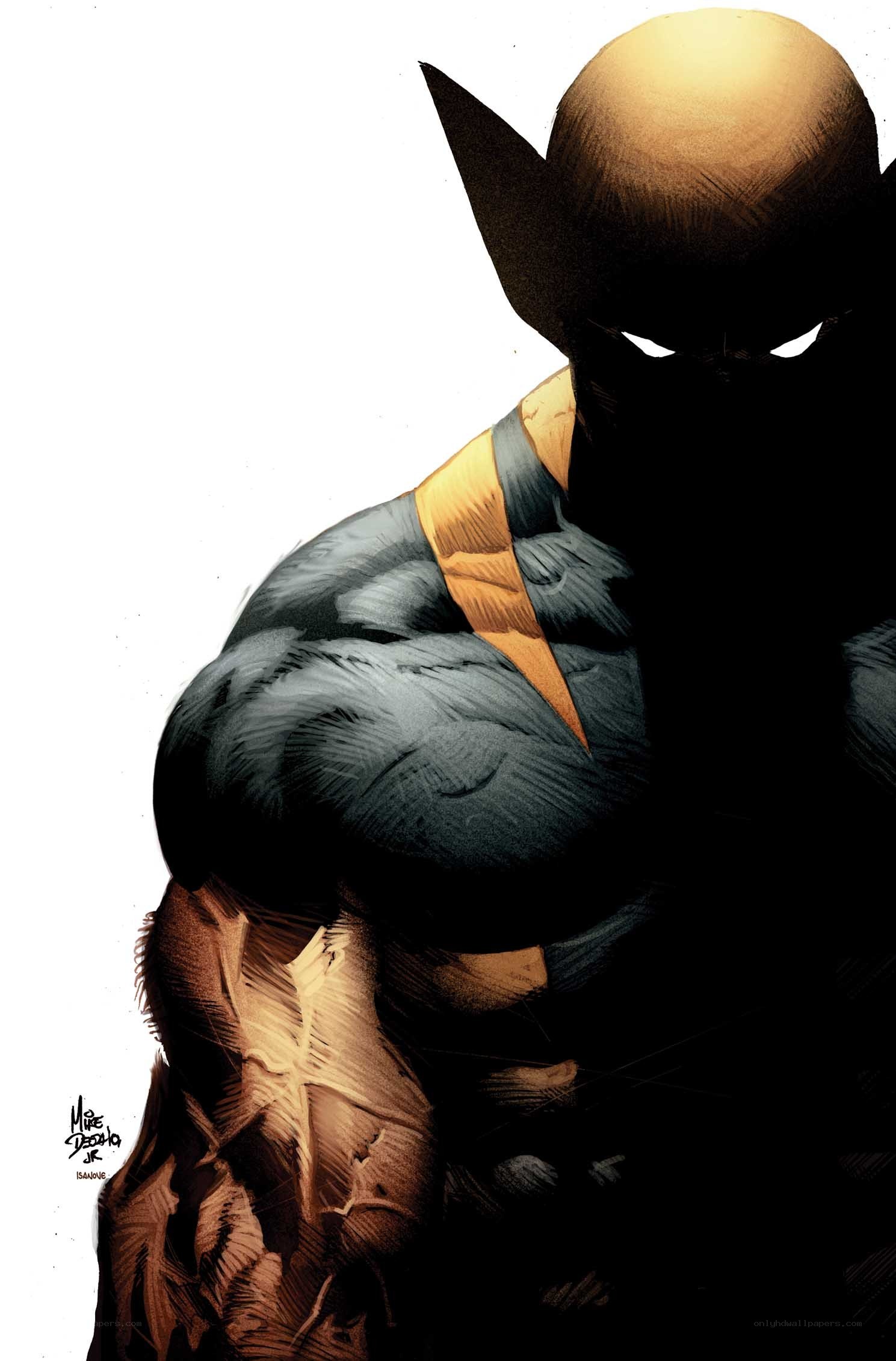 Wolverine in shadow