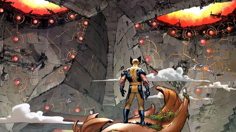 Wolverine Standing on Rock