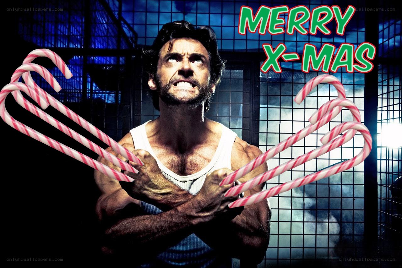 Wolverine with candy canes