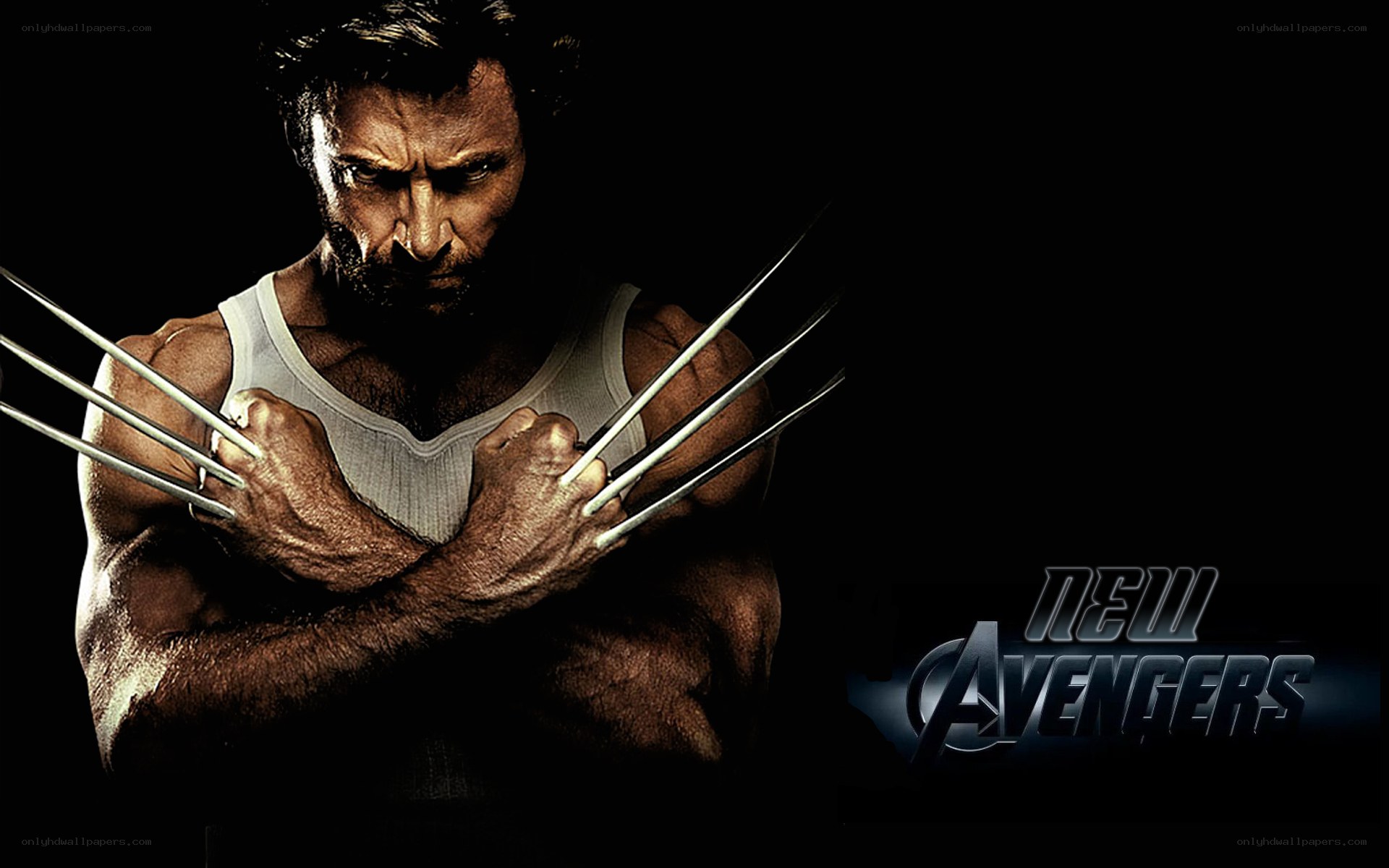 Wolverine with claws extended